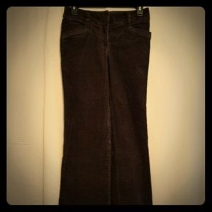 H&M Chocolate Cordaroy Pants